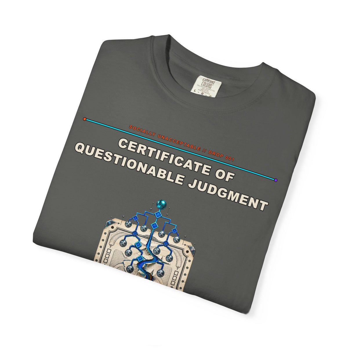 Certificate of Questionable Judgment graphic tee by KOSVYRE in Pepper, other product view 1