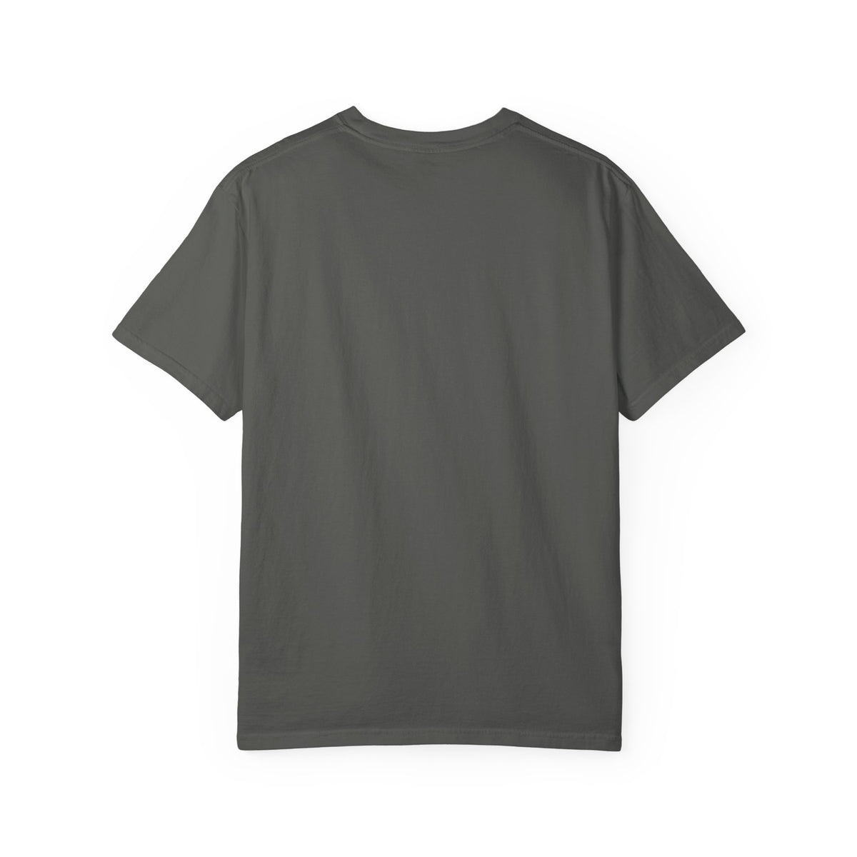 Certificate of Questionable Judgment graphic tee by KOSVYRE in Pepper, back product view 1