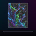 Recursive Mineral Choir original KOSVYRE poster displayed in a dark psychedelic gallery setting